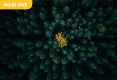 Pas de côté - Philippe Gabilliet