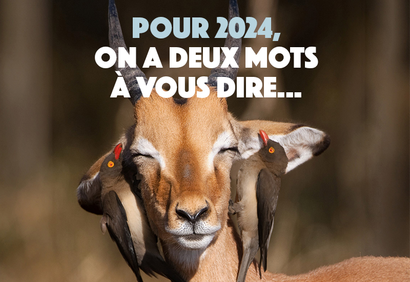 L'équipe rédactionnelle de Filières Avicoles vous souhaite une Bonne Année  2024