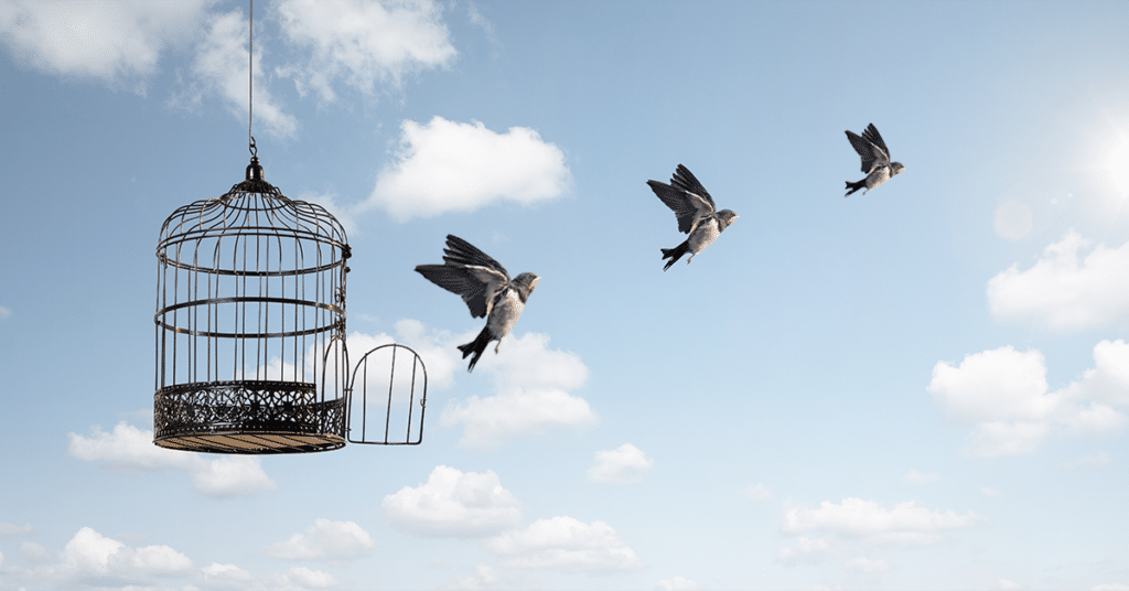 Conférence CFIA Toulouse 2022 par Quaternaire et le groupe Aqualande - Donner de l'autonomie aux équipes - illustration par un oiseau qui sort de sa cage.